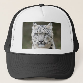 Casquette Léopard de neige