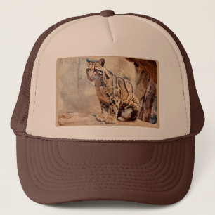 Casquette léopard nébuleux image nature faune exotique
