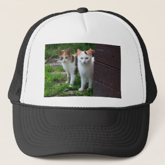 Casquette Les chats jouent