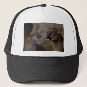 Casquette Les lions de montagne amoureux