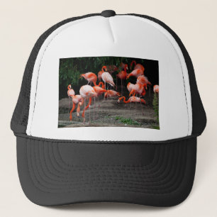 Casquette Les oiseaux de plage tropicaux Flamants roses de d