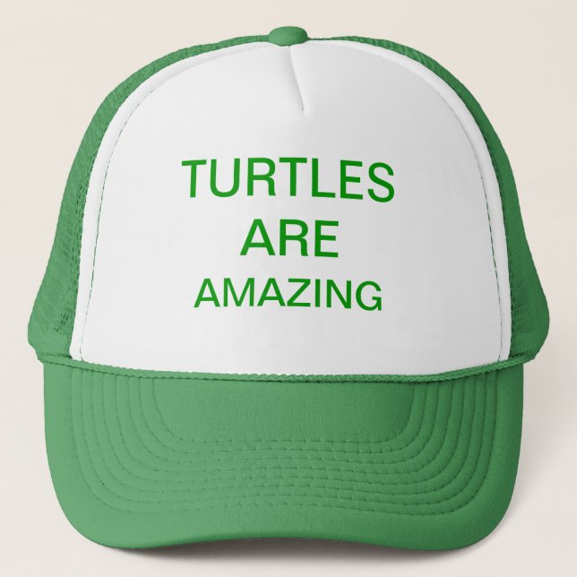 Casquette les tortues sont extraordinaires (Devant)