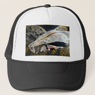 Casquette Les yeux des serpents boa constrictor