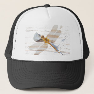 Casquette Libellule sur la roche