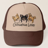 Longhair Chihuahua Lover