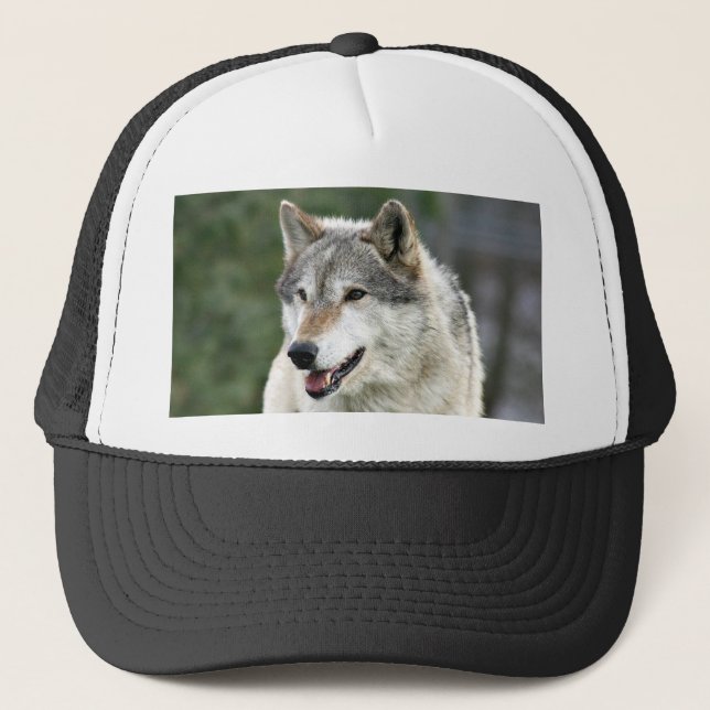 Casquette Loup (Devant)