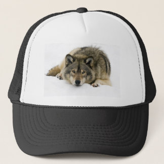 Casquette Loup