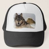 Loup gris ou loup de bois de construction