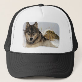 Casquette Loup gris ou loup de bois de construction