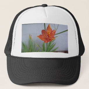 Casquette Lys Blackberry à tache orange claire dans un jardi