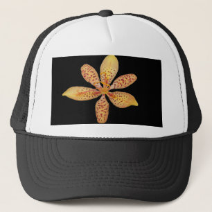Casquette Lys Blackberry à tache orange légère
