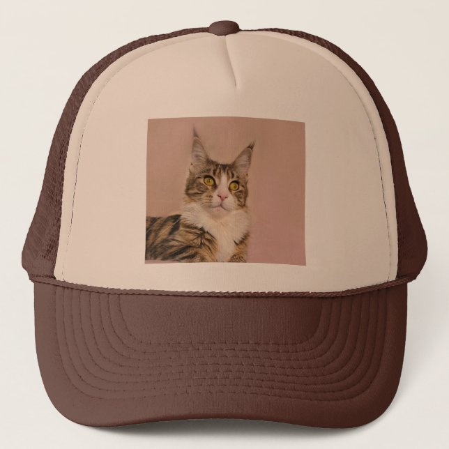 Casquette Maine Coon Tabby kitten photo (Devant)