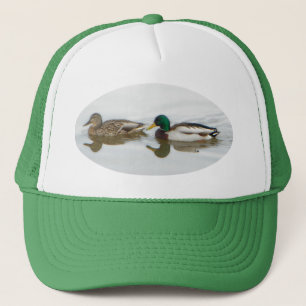 Casquette Mallards