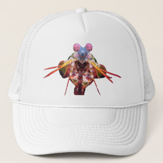 Casquette mante
