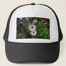 Marguerite africaine blanche