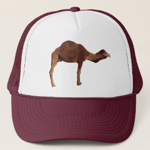 Casquette marocain de chameau