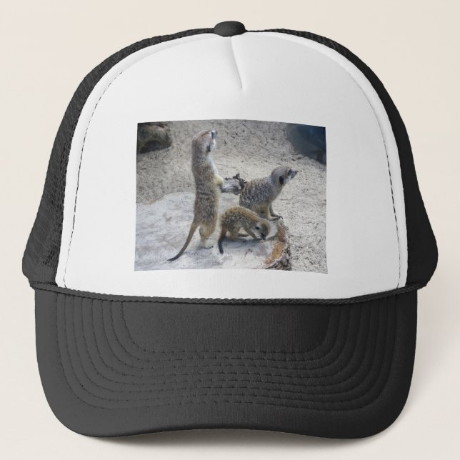 Casquette Meerkat (Devant)