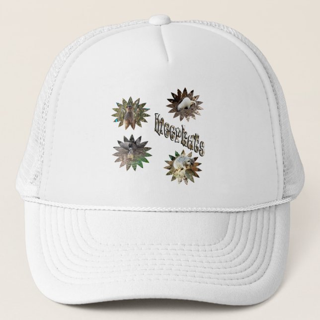 Casquette Meerkats En Formes D'Étoile Avec Logo, (Devant)