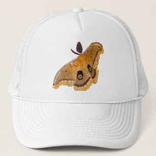 Casquette Mite de Polyphemus