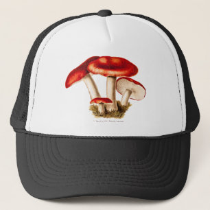 Casquette Modèle vintage de champignons de rouge de