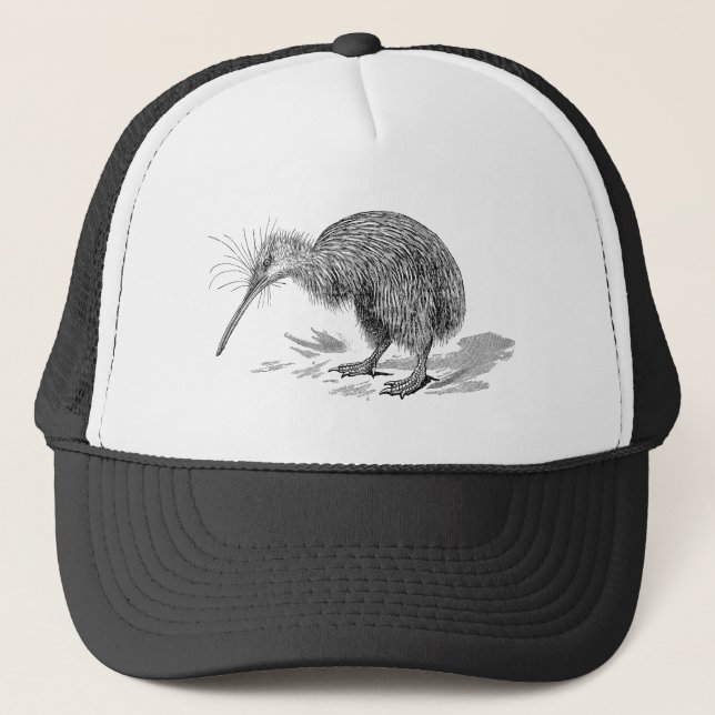 Casquette Modèle vintage d'oiseaux d'antiquité d'oiseau de (Devant)