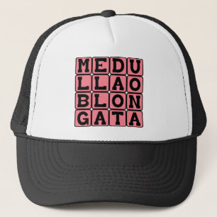 Casquette Moelle allongée, tronc cérébral inférieur