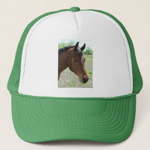 Casquette Mon Ami, Le Cheval