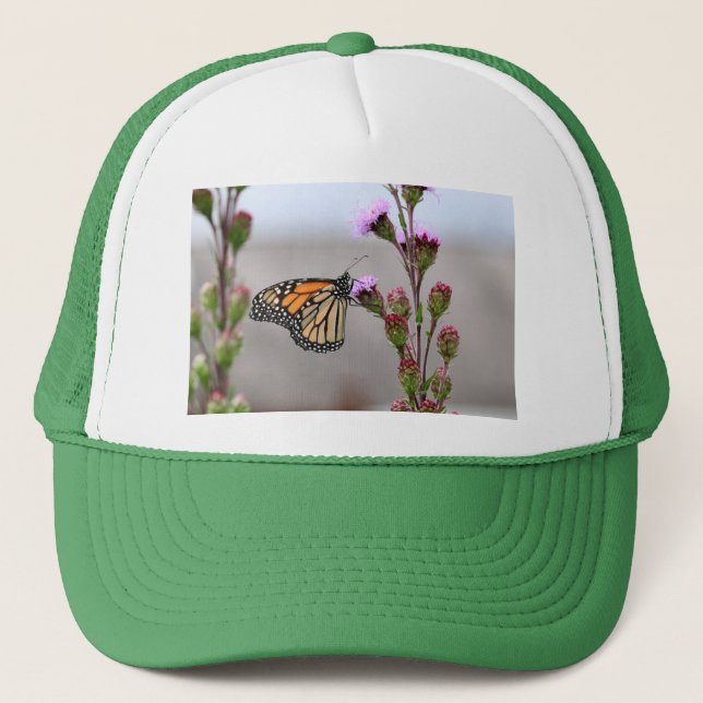 Casquette Monarque (Devant)