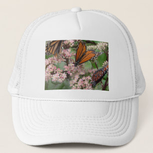 Casquette Monarque Butterflies