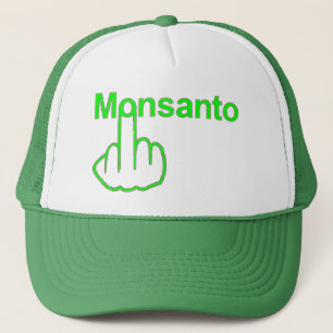 Casquette Monsanto Flip