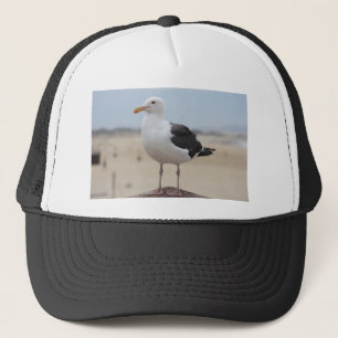 Casquette Mouette