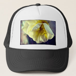 Casquette Narcissus Daffodil