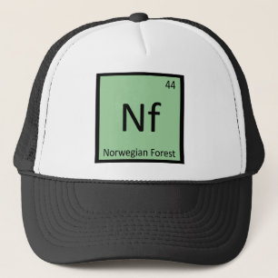 Casquette Nf - Chat des Forêts Norvégiennes Symbole d'Élémen