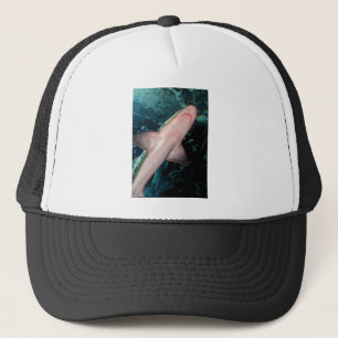 Casquette NJ Shark CB
