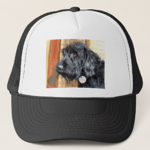 Casquette noir de Labradoodle #1