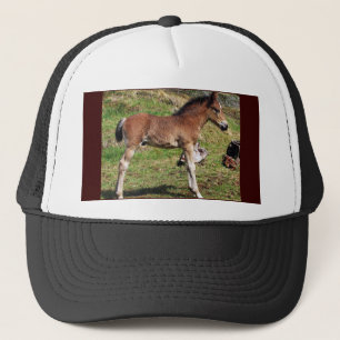 Casquette noir de poulain