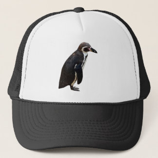 Casquette noir et blanc mignon de pingouin de