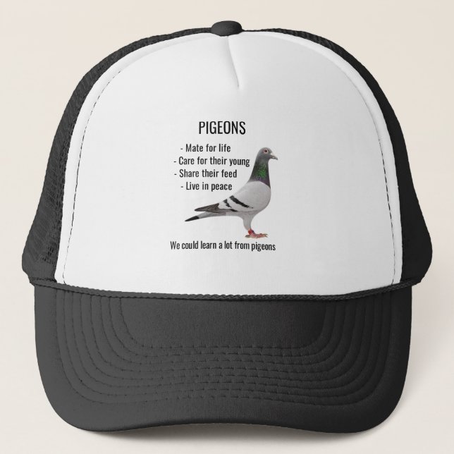 Casquette Nous pouvons en apprendre beaucoup sur les pigeons (Devant)