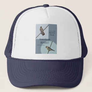 Casquette Objets de Kestrel Américain (Falco sparverius)