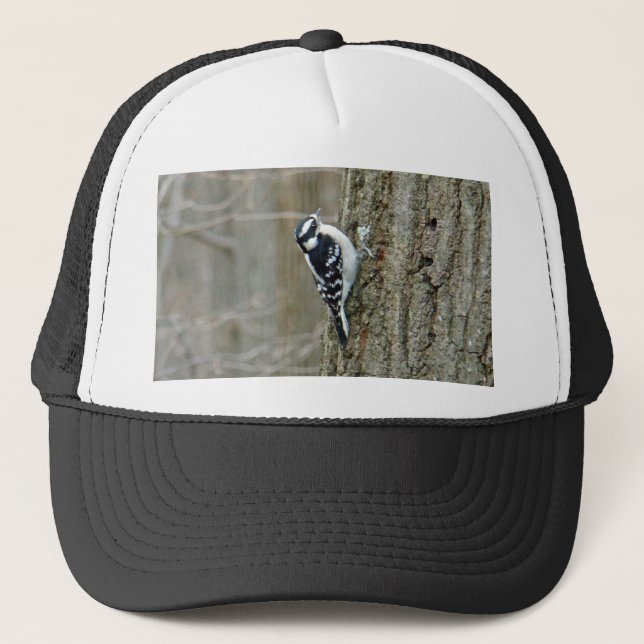 Casquette Objets en pics Downy (Devant)