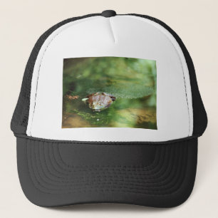 Casquette Oeufs pondeuses de grenouilles à taureaux