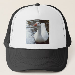Casquette Oie blanche