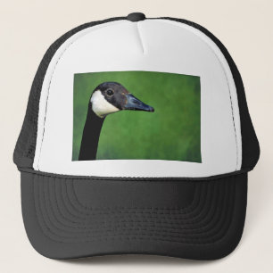 Casquette Oie du Canada