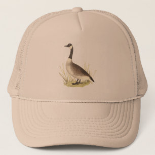 Casquette Oie sauvage (Anser canadensis)