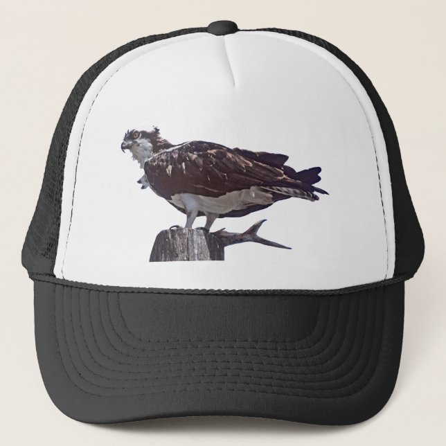 Casquette Oiseau de balbuzard (Devant)