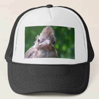 Casquette oiseau de bébé fâché