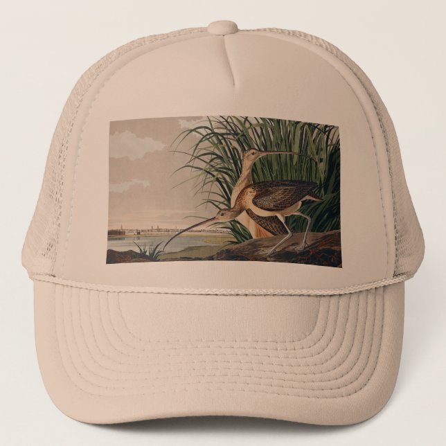 Casquette Oiseau de Courlis à long bec Audubon (Devant)