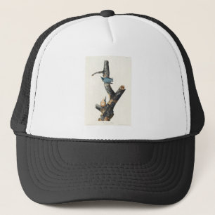 Casquette Oiseaux d'Amérique (1827) de John James Audubon