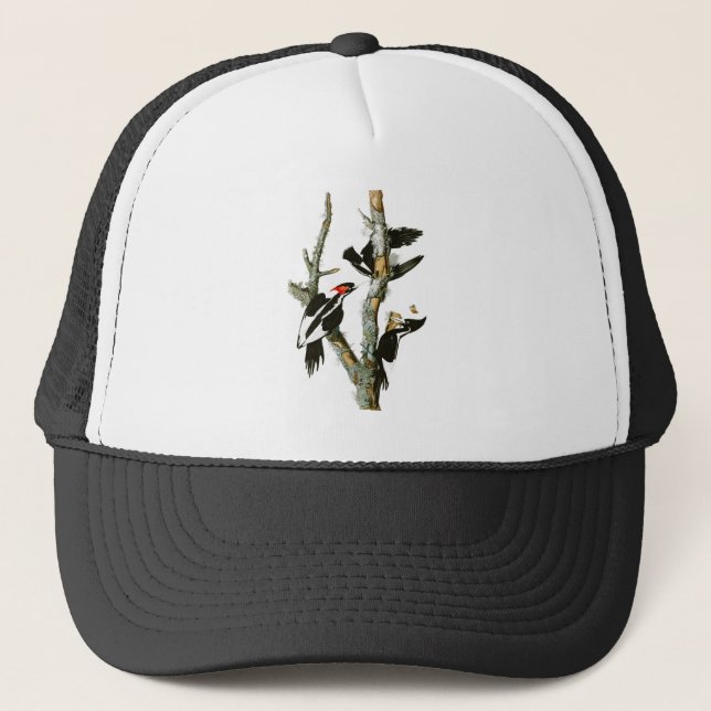 Casquette oiseaux Ivoire-affichés d'Audubon de pivert de (Devant)
