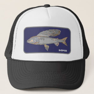 Casquette Ombre bleue et grise